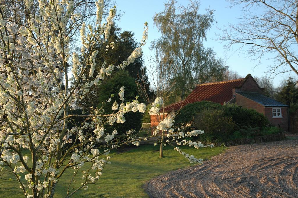 Field Cottage Bed And Continental Breakfast East Harling Номер фото